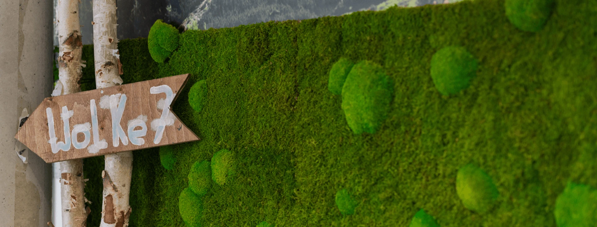 Ein Schild mit der Aufschrift 'Wolke?' weist auf eine grüne, moosbedeckte Fläche mit runden Moospolstern, die Bäume darstellen könnten, hin. Graue Rohre liegen im Vordergrund.