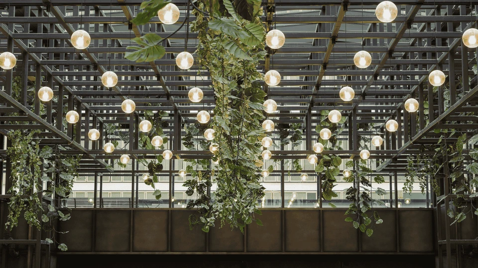 Modern interior design featuring a metal ceiling structure with numerous round lights hanging, surrounded by cascading green plants.