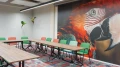 Ein moderner Besprechungsraum mit einem großen Tisch und mehreren Stühlen. An der Wand ist ein großes, farbenfrohes Wandgemälde eines Papageienkopfes.