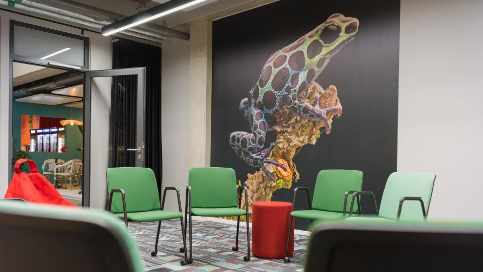 Ein modern gestalteter Besprechungsraum mit grünen Stühlen und einem großen Wandbild einer Meeresschildkröte in leuchtenden Farben.