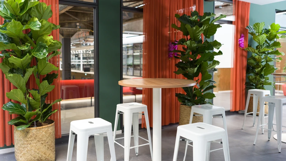 Hochtische mit weißen Barhockern in der Jungle Lodge im Smartvillage Köln Mülheim.