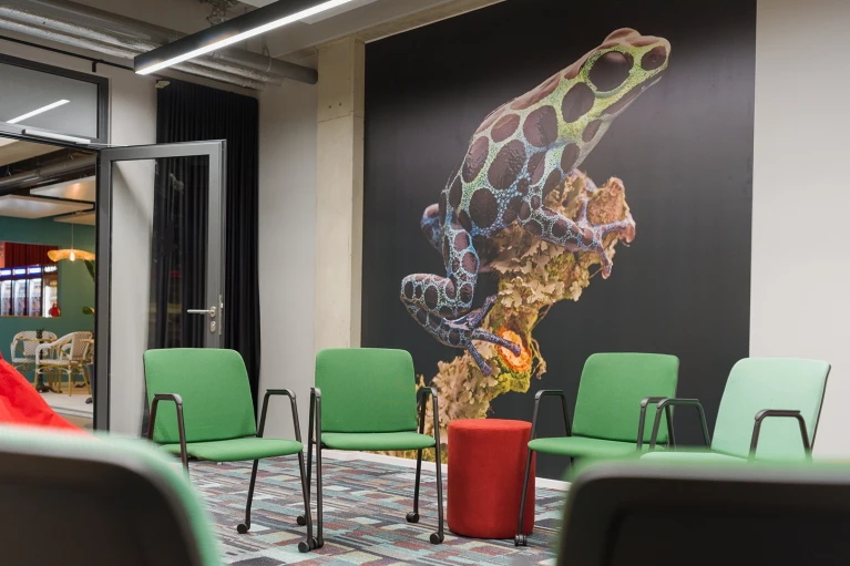 Kreative Stuhlkreis-Anordnung mit grünen Stühlen, Sitzhockern und Sitzsäcken im Raum „Lima“, im Hintergrund eine offene Fensterfront.