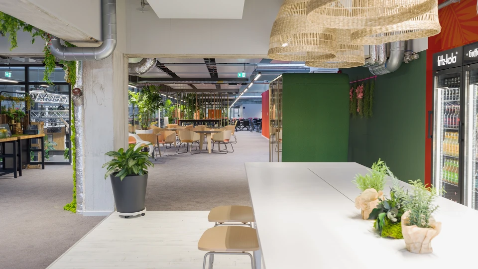 Einladender Blick in die offene Gemeinschaftsküche und Essbereich mit viel Pflanzen-Dekoration und natürlicher Beleuchtung.