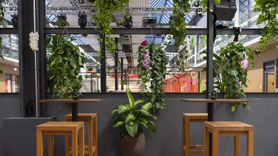 Hochtische mit Barhockern vor bepflanzter Glaswand im Smartcafé