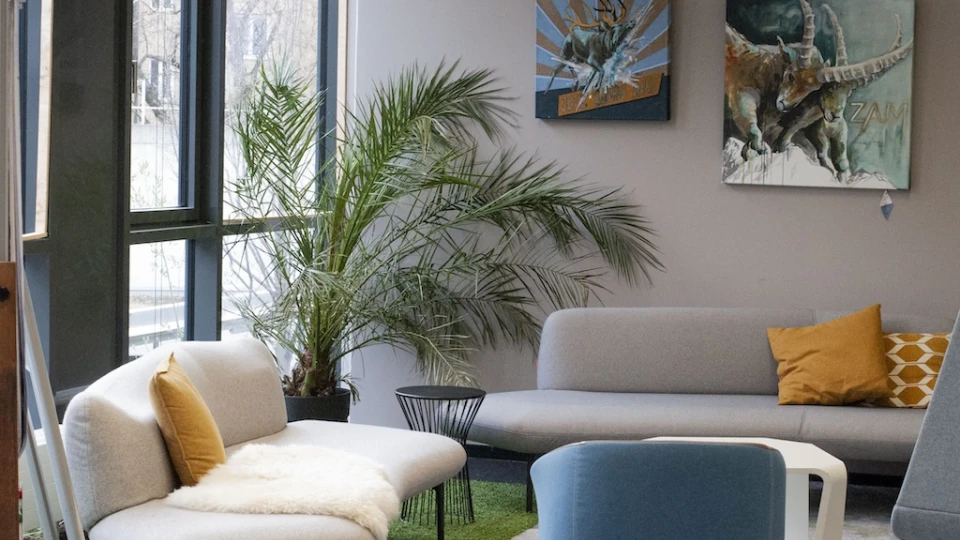 Gemütliche Sitzecke mit grauen Sofas, gelben Kissen, einer großen Zimmerpflanze und bunten Alpenmotiven an der Wand – perfekte Ecke für entspannte Gespräche oder kreative Pausen.